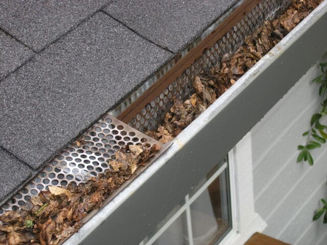 gutter and fascia cleaning